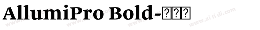 AllumiPro Bold字体转换